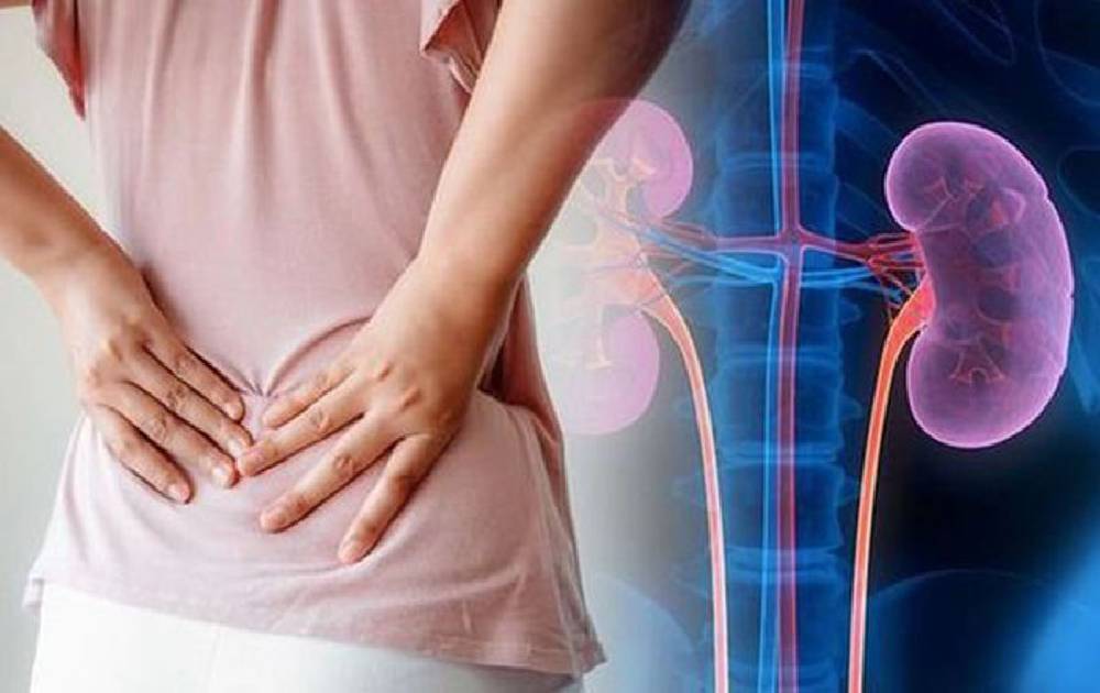 मिर्गौला फेल हुनु अघि शरीरले देखाउँछ यस्ता सङ्केत