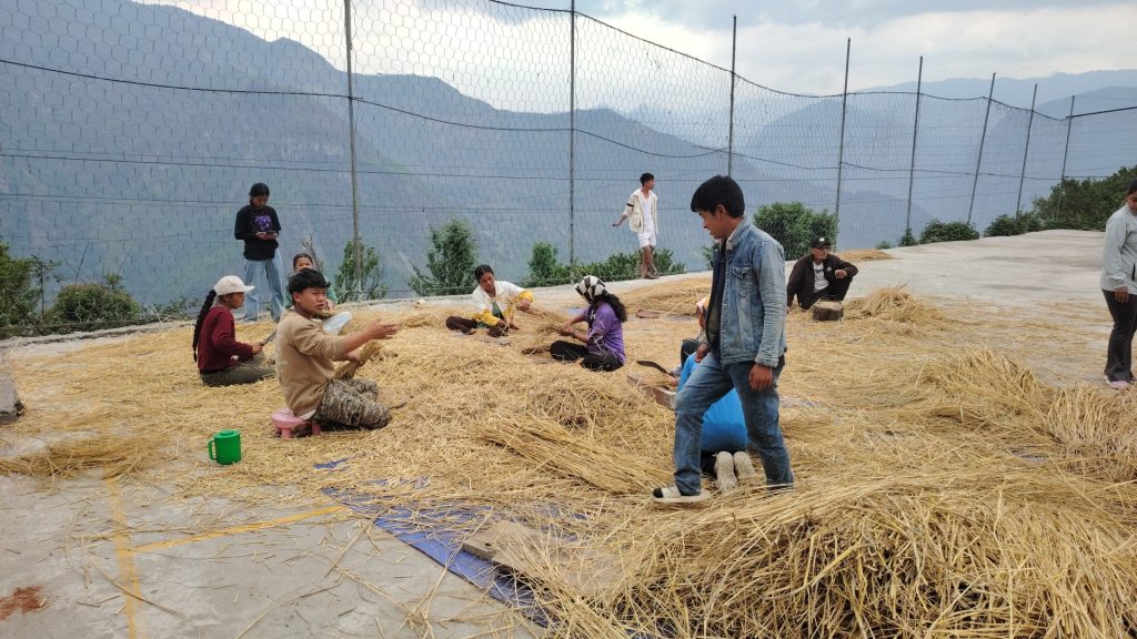 नगर प्रमुखसँग युवा : दीपक माविका विद्यार्थीले सुरु गरे च्याउखेती