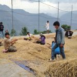 नगर प्रमुखसँग युवा : दीपक माविका विद्यार्थीले सुरु गरे च्याउखेती